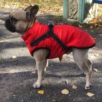 PetGishi™ Dog jacket With Built-in Harness photo review