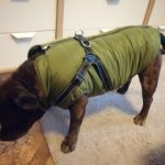 PetGishi™ Dog jacket With Built-in Harness photo review