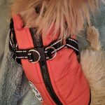 PetGishi™ Dog jacket With Built-in Harness photo review