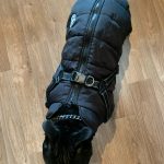 PetGishi™ Dog jacket With Built-in Harness photo review