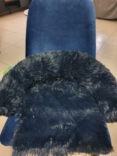 Pupniture&trade; Protector Calming Pet Bed photo review