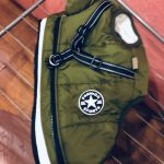 PetGishi™ Dog jacket With Built-in Harness photo review