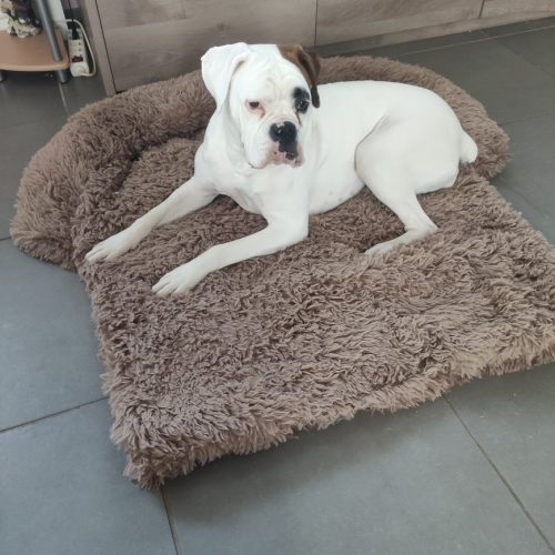 Click to view full screen Pupniture™ Protector Calming Pet Bed photo review