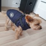 PetGishi™ Dog jacket With Built-in Harness photo review