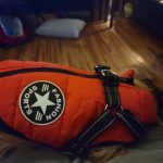PetGishi™ Dog jacket With Built-in Harness photo review