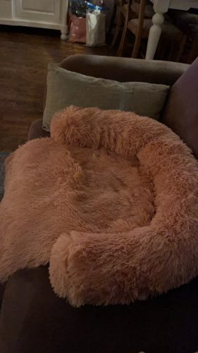 Click to view full screen Pupniture™ Protector Calming Pet Bed photo review