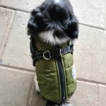 PetGishi™ Dog jacket With Built-in Harness photo review