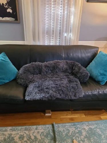 Pupniture&trade; Protector Calming Pet Bed photo review