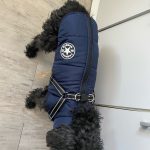 PetGishi™ Calming Dog jacket With Built-in Harness photo review