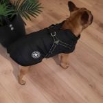 PetGishi™ Dog jacket With Built-in Harness photo review