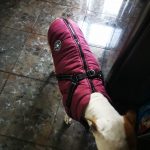 PetGishi™ Dog jacket With Built-in Harness photo review