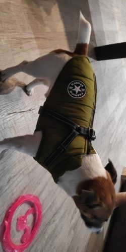 PetGishi™ Calming Dog jacket With Built-in Harness photo review