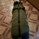 PetGishi™ Dog jacket With Built-in Harness photo review