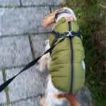 PetGishi™ Dog jacket With Built-in Harness photo review