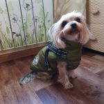 PetGishi™ Dog jacket With Built-in Harness photo review