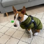 PetGishi™ Dog jacket With Built-in Harness photo review