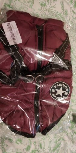 PetGishi™ Dog jacket With Built-in Harness photo review