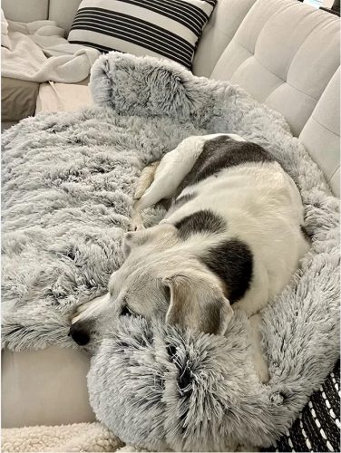 Pupniture&trade; Protector Calming Pet Bed photo review