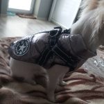 PetGishi™ Dog jacket With Built-in Harness photo review
