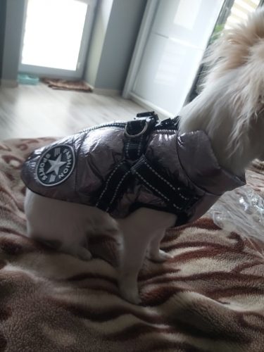 Click to view full screen PetGishi™ Dog jacket With Built-in Harness photo review