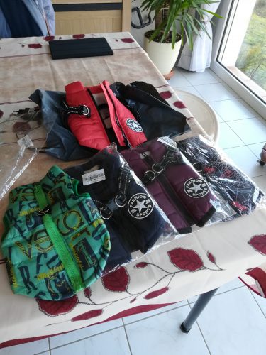 PetGishi™ Dog jacket With Built-in Harness photo review