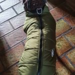 PetGishi™ Dog jacket With Built-in Harness photo review