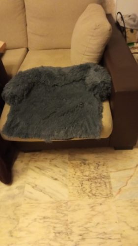 Pupniture&trade; Protector Calming Pet Bed photo review