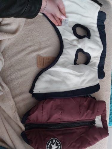 PetGishi™ Dog jacket With Built-in Harness photo review