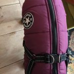 PetGishi™ Dog jacket With Built-in Harness photo review