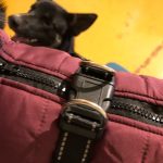 PetGishi™ Dog jacket With Built-in Harness photo review