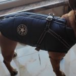 PetGishi™ Dog jacket With Built-in Harness photo review