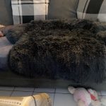 Pupniture™ Protector Calming Pet Bed photo review