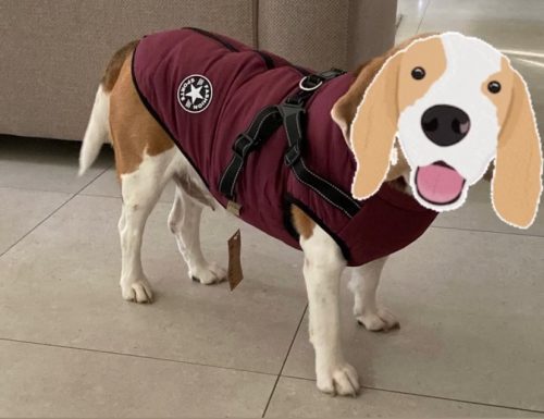 Click to view full screen PetGishi™ Dog jacket With Built-in Harness photo review