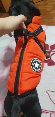 Click to view full screen PetGishi™ Dog jacket With Built-in Harness photo review