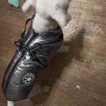 PetGishi™ Dog jacket With Built-in Harness photo review