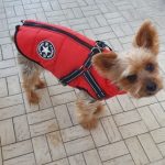 PetGishi™ Dog jacket With Built-in Harness photo review