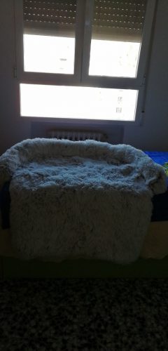 Pupniture&trade; Protector Calming Pet Bed photo review