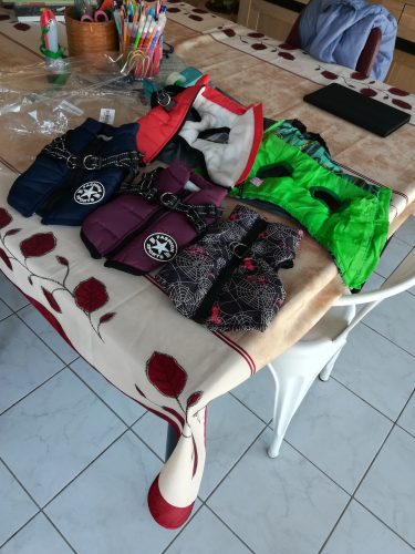 PetGishi™ Dog jacket With Built-in Harness photo review