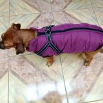 PetGishi™ Dog jacket With Built-in Harness photo review