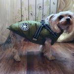 PetGishi™ Dog jacket With Built-in Harness photo review