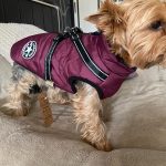 PetGishi™ Dog jacket With Built-in Harness photo review