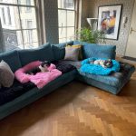 Pupniture™ Protector Calming Pet Bed photo review