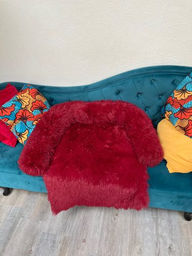 Pupniture&trade; Protector Calming Pet Bed photo review
