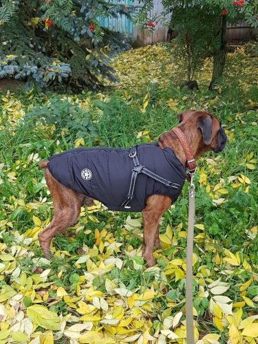 PetGishi™ Dog jacket With Built-in Harness photo review