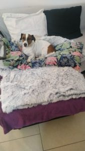Pupniture&trade; Protector Calming Pet Bed photo review