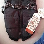 PetGishi™ Dog jacket With Built-in Harness photo review