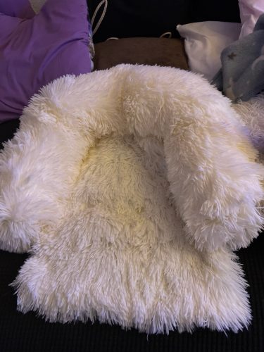 Click to view full screen Pupniture™ Protector Calming Pet Bed photo review