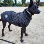PetGishi™ Dog jacket With Built-in Harness photo review