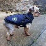 PetGishi™ Dog jacket With Built-in Harness photo review