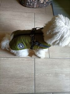 PetGishi™ Dog jacket With Built-in Harness photo review